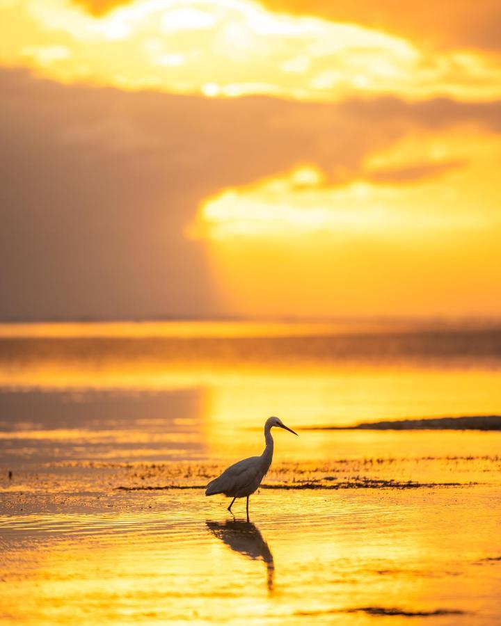 Hakuna Majiwe Beach Lodge Paje Eksteriør bilde