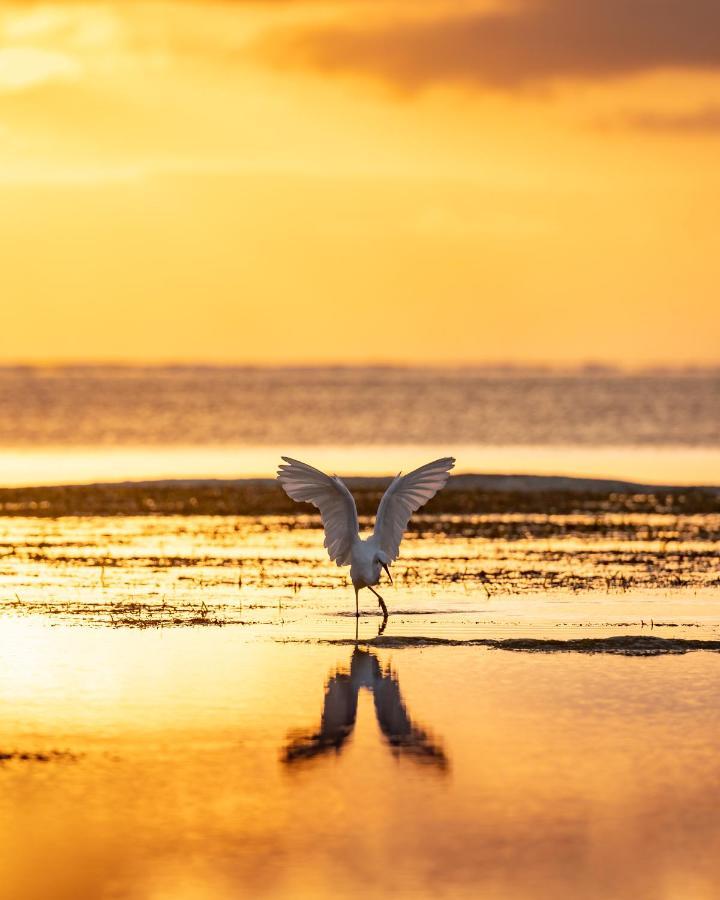 Hakuna Majiwe Beach Lodge Paje Eksteriør bilde